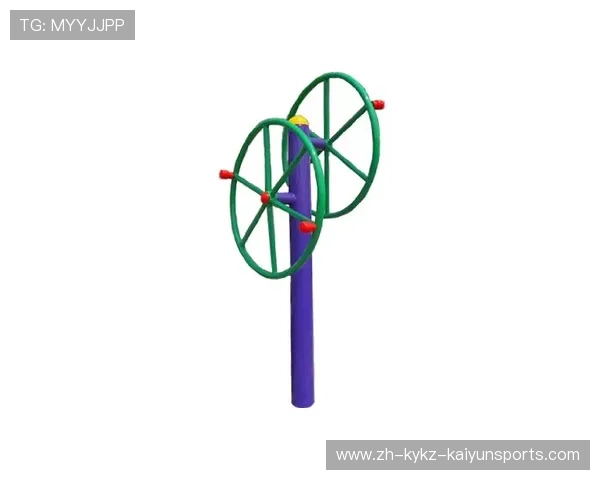 国家户外健身器材标准及体育健身推广情况