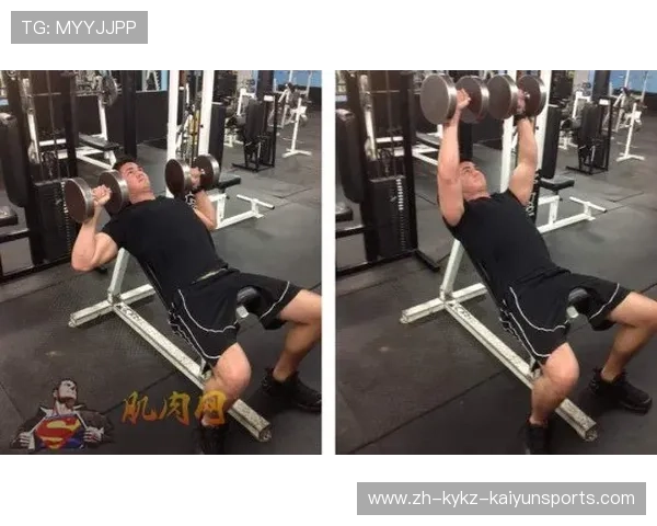 飞鸟动作:提升胸部力量的最佳健身器材使用指南 飞鸟动作:提升胸部力量的最佳健身器材使用指南